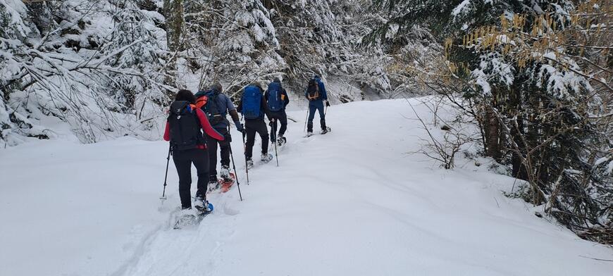 Départ par la piste forestière Départ par la piste forestière