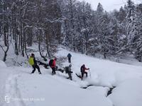 Passage technique en sous bois Passage technique en sous bois