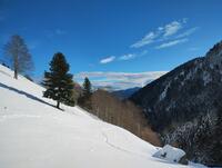 Une brève éclaircie Une brève éclaircie