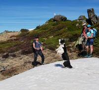 Lolie la joueuse Lolie la joueuse